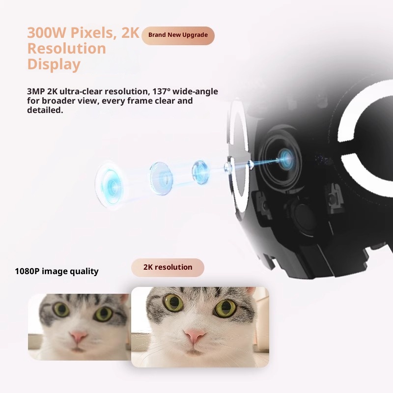Enabot ROLA Mini Smart Robot И – обзор и цена Home Security Cameras Wireless