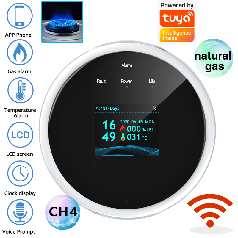 Датчик газа с Wi-Fi 2.4G, дете – обзор и цена Home Security Network